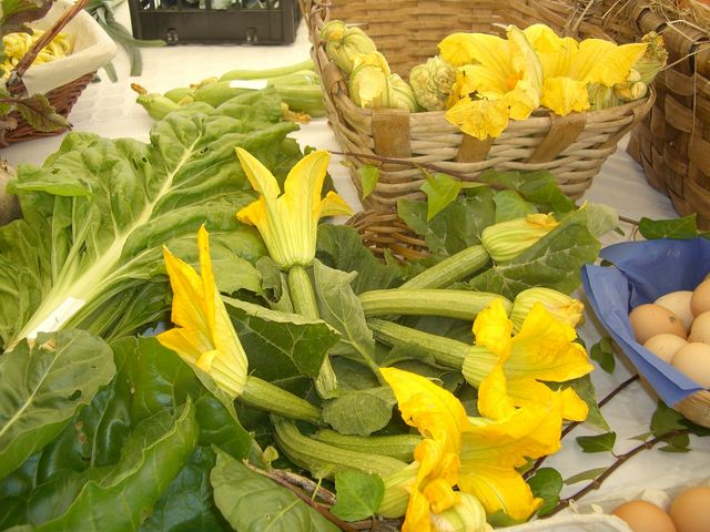 Fleur de courgette